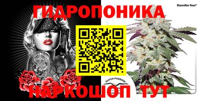 хмурый Берёзовский