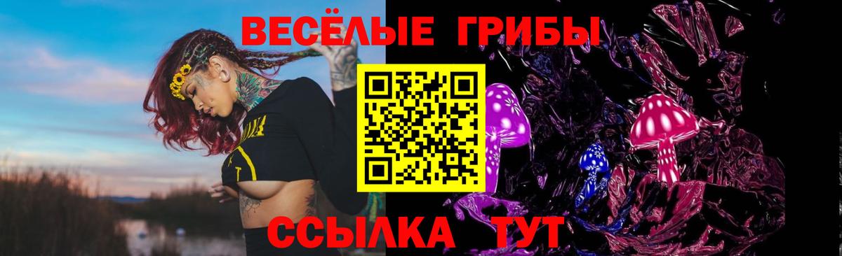 Ирбит  Псилоцибиновые грибы Psilocybe  Галлюциногенные грибы прущие грибы  купить наркоту  Вход с VPN 
